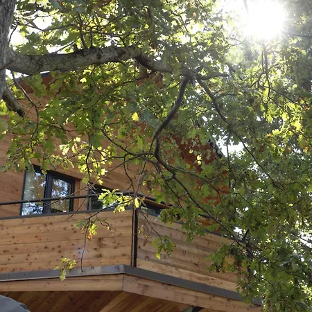 Orman Evi La Barca Nel Bosco Di Cascina Papa Mora Cellarengo