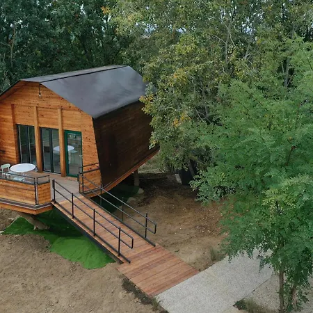 La Barca Nel Bosco Di Cascina Papa Mora *